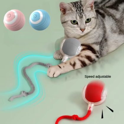 Magic Ball - Interactive Pet Toy